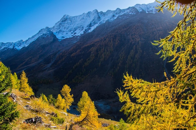 Landscape of the Swiss Alps in autumn