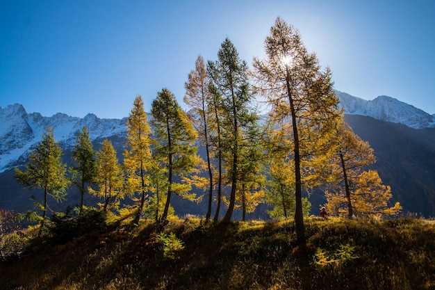 Landscape of the Swiss Alps in autumn