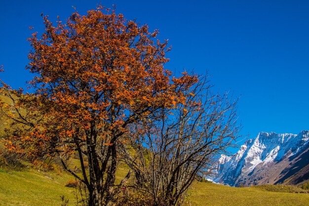 Landscape of the Swiss Alps in autumn