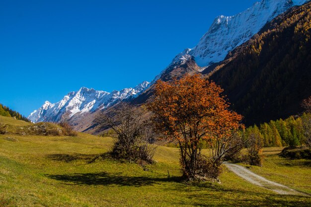 Landscape of the Swiss Alps in autumn