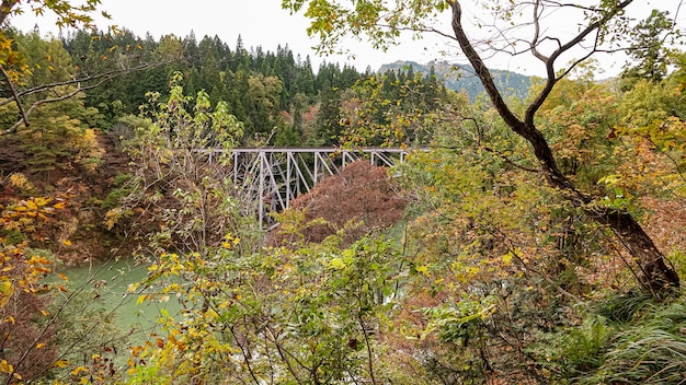 福島県の只見線の風景