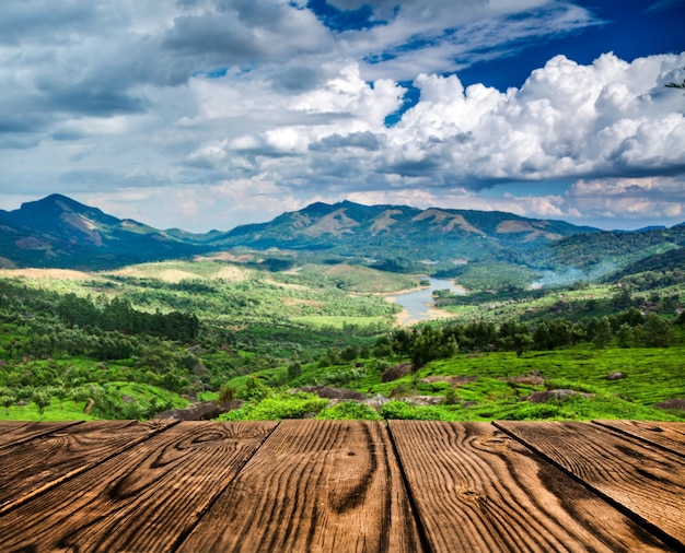 Landscape of the tea plantations in India, Kerala Munnar.