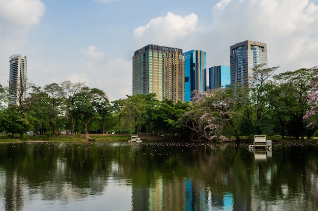 公園の木の風景