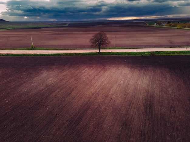 Landscape of trees. Sunset out of town