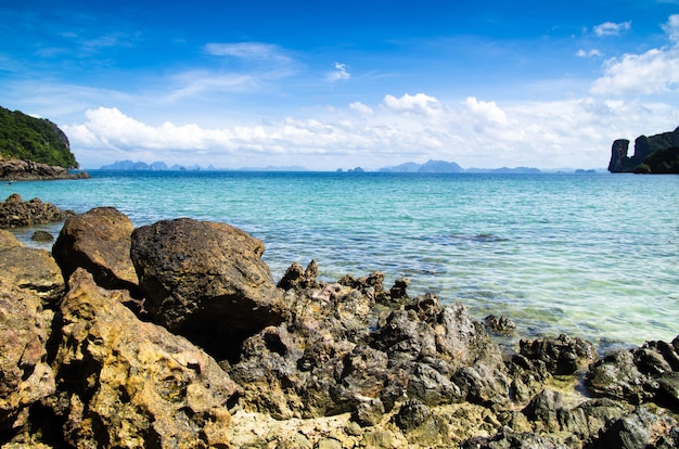 熱帯の海の風景