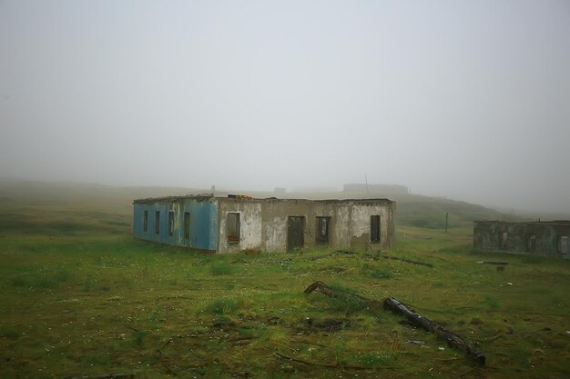 пейзаж тундра / летний пейзаж в северной тундре, мох, экосистема