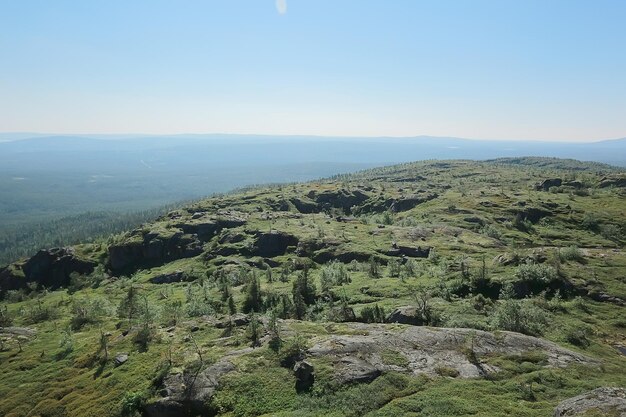 landscape tundra / summer landscape in the north tundra, moss, ecosystem