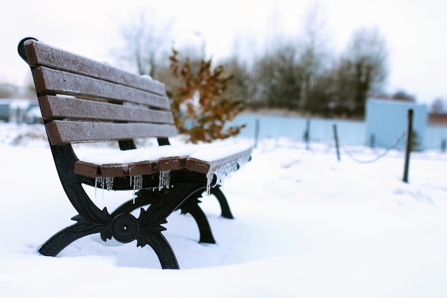 Abbellisca il central park urbano il primo giorno nevoso dell'inverno