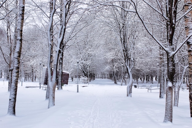 Abbellisca il central park urbano il primo giorno nevoso dell'inverno