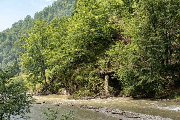 Paesaggio in vaser valley, bucovina, mocanita steam train, romania