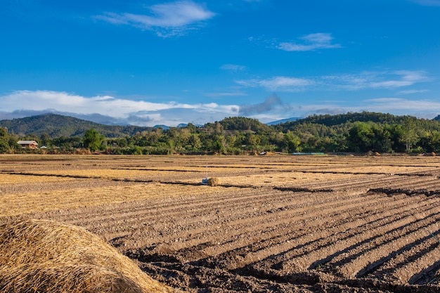 Foto paesaggio e vedere l'agricoltura