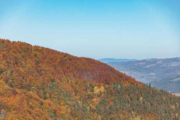 秋のカルパティア山脈ウクライナの風景ビュー