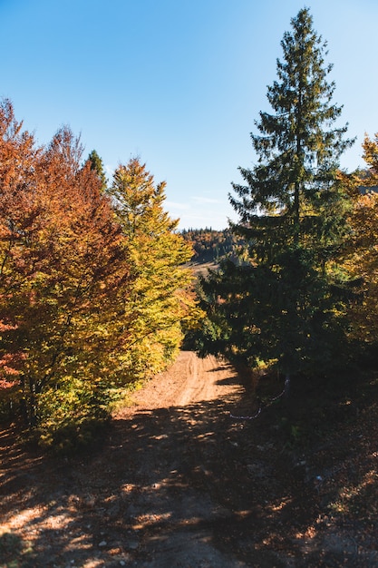 Landscape view of autumn carpathian mountains ukraine