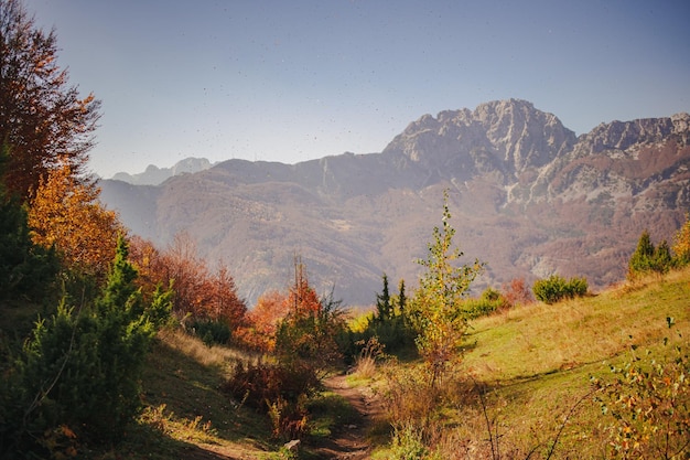 Landscape view of autumn hills with alps in the background