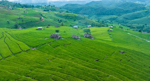 タイ北部のバン・パ・ボン・ピアン・チアンマイ州にある米のテラス場の背景の風景