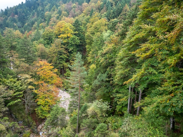 Photo landscape view in bavaria germany