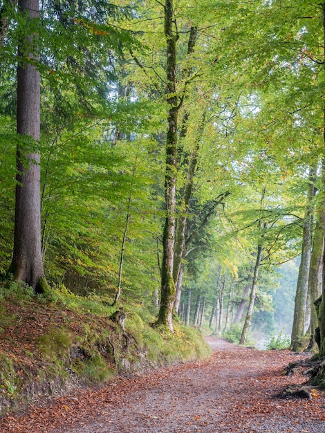 Landscape view in Bavaria Germany