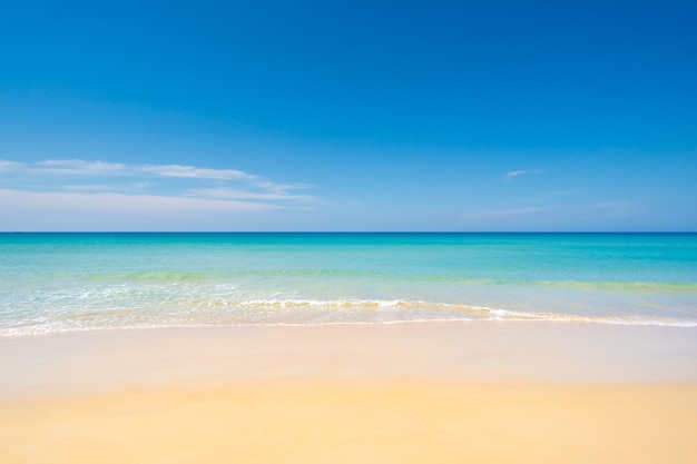 Vista del paesaggio della spiaggia con cielo blu