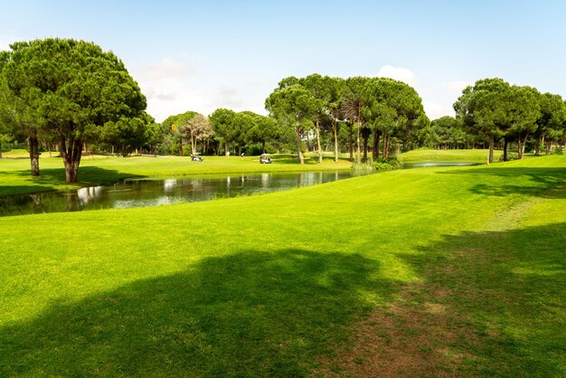 Foto vista paesaggistica di un bellissimo campo da golf circondato da pini in turchia