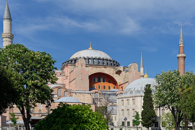 Landscape view of the city on a sunny day