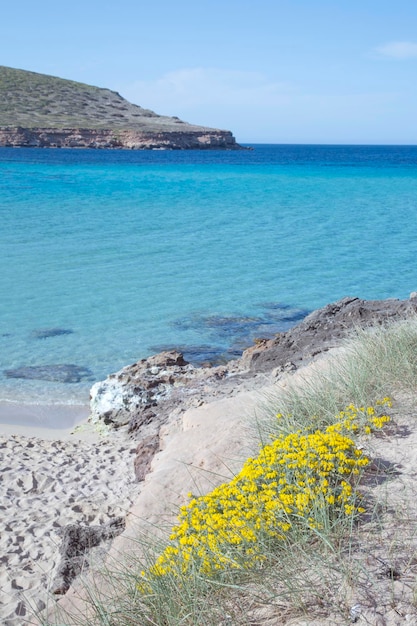 コンテ ビーチ、イビサ島、スペインの風景を見る