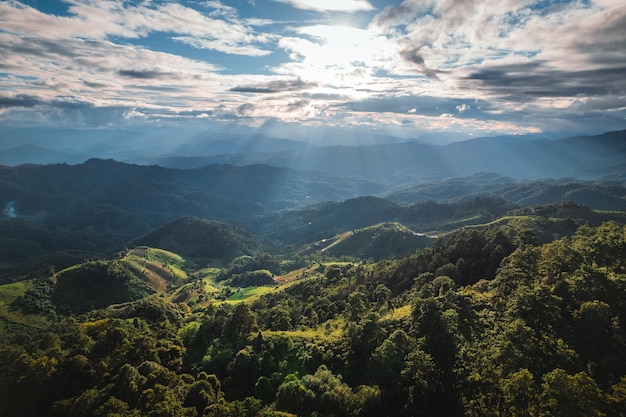 緑の高い丘の風景