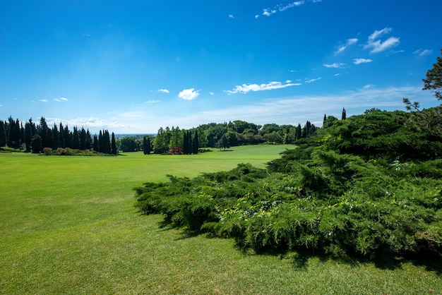 landscape view of a large garden