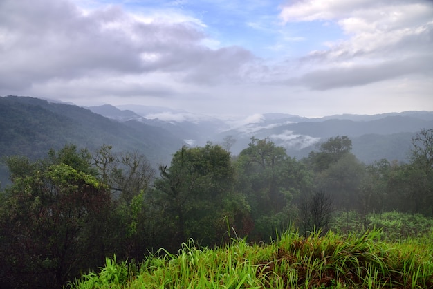 Photo landscape view at mae wong national park, kamphaeng phet, thailand.