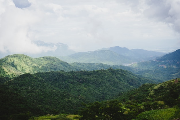 Foto vista del paesaggio di montagna e foresta pluviale.