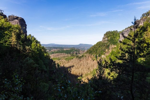 Landscape view of mountains and trees Bohemian Switzerland National Park, Czech Republic