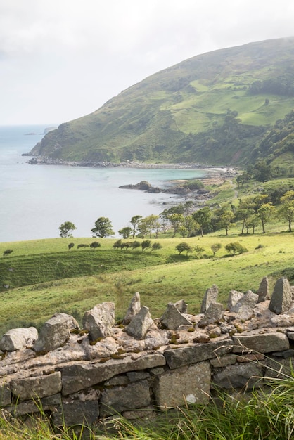 風景を見る, の, murlough, 浜, 郡, アントリム, 北アイルランド, ヨーロッパ