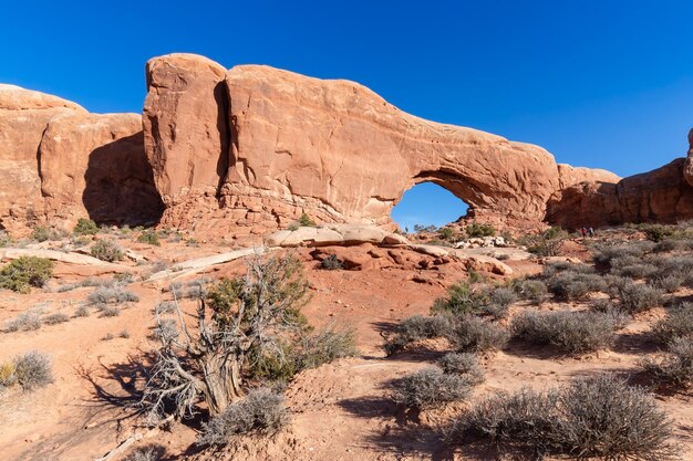 Landscape view of red rock canyon formations