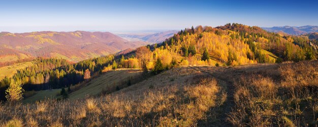 Landscape view of a sunny day. Beautiful Autumn in the village. Carpathian mountains, Ukraine, Europe