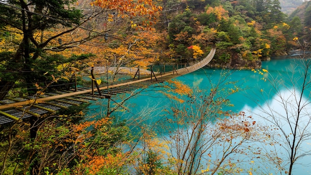 Vista del paesaggio ponte di legno sospeso nella stagione delle foglie autunnali e acqua color smeraldo nel mezzo della valle in giappone