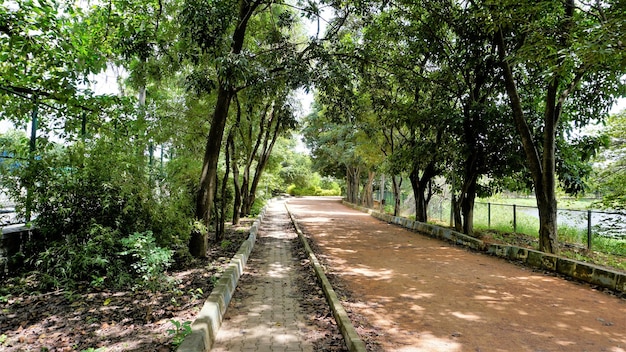 Landscape view of walking lane of Agara lake Well maintained lake