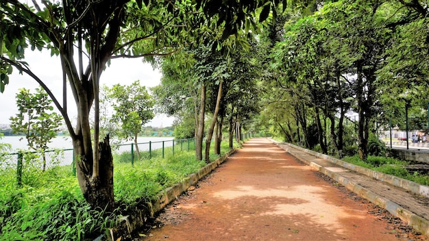 Landscape view of walking lane of Agara lake Well maintained lake