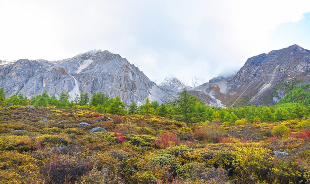 Landscape view at Yading national reserve