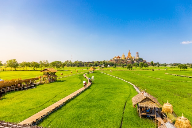 ジャスミンの田んぼとワットタムスア寺院（タイガー洞窟寺院）の風景