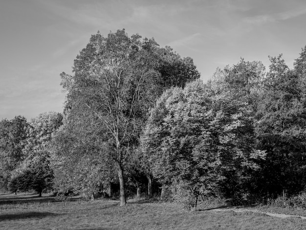 landscape in westphalia