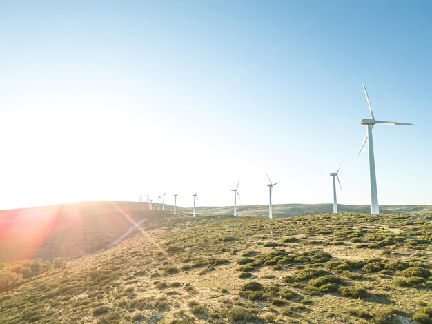 Landscape of windfarm at sunset in spain