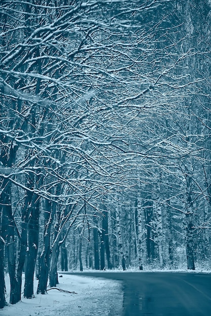 Paesaggio invernale foresta cupa, paesaggio stagionale neve nella natura della foresta