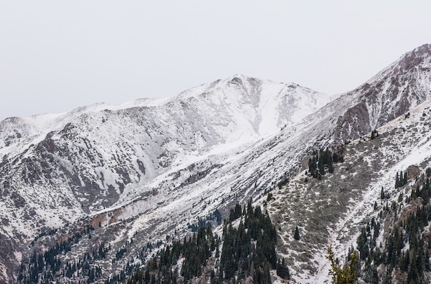 Landscape of winter rocky mountains with fog