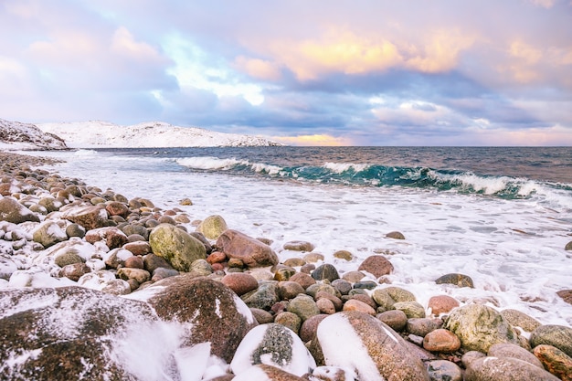 Paesaggio del mare d'inverno