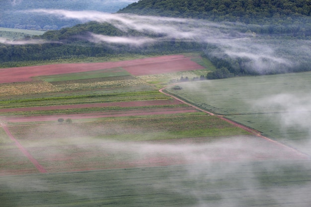 写真 鳥瞰図のある風景。フィールズロードと霧