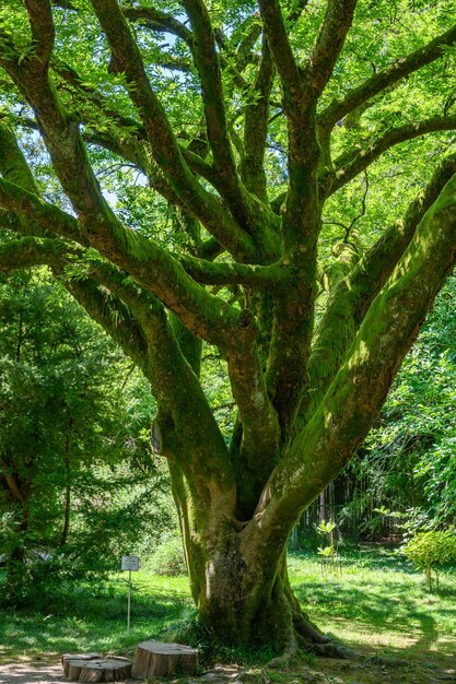 写真 植物園を望む風景