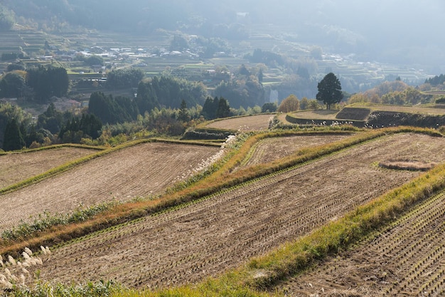 Landscape with agricultural field