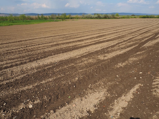 収穫のために耕作された農地のある風景耕作され、作物を栽培するために使用できる一時的な作物のための農地の耕作可能な土地セルビアSremska Mitrovica Fruska gora