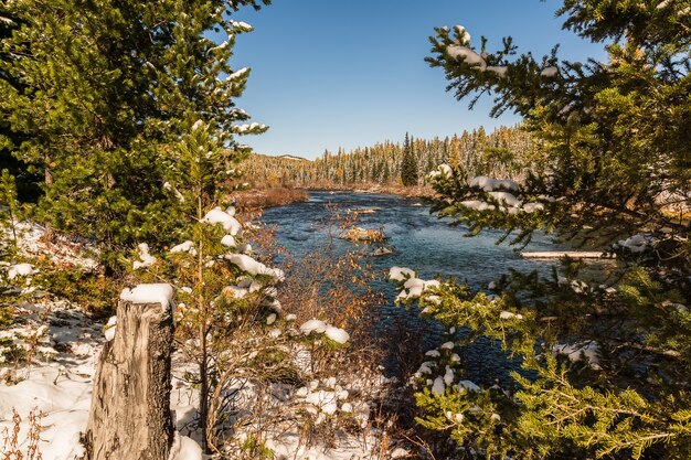 Landscape with the Altai mountains, Russia. 