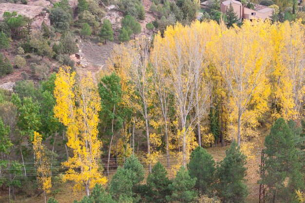 Landscape with autumn colors in siguienza guadalajara spain