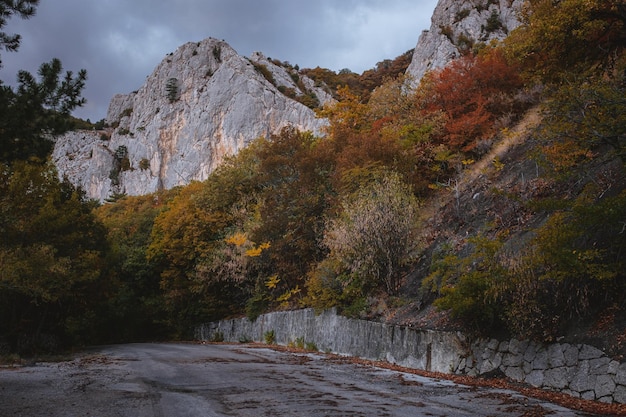 Landscape with beautiful empty mountain road high rocks trees and cloudy sky